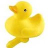 Rubber duck 2